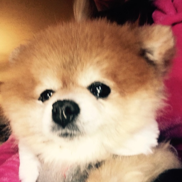 Meet your Posher, Barbie - Picture 5 of 5